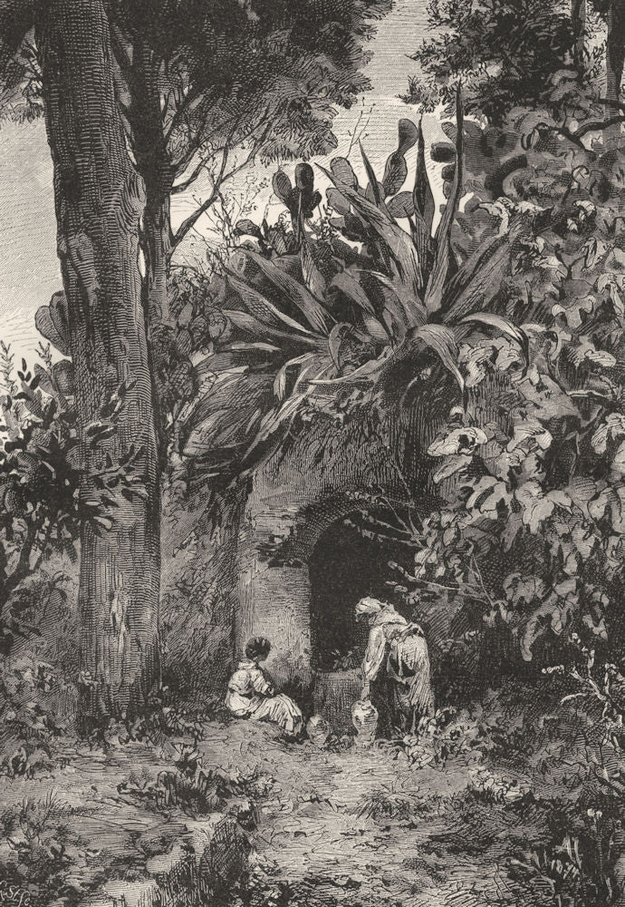 ITALY. A Garden Spring in Capri 1877 old antique vintage print picture